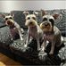 Chris Bednarz - Facebook