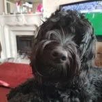 Chris Beesley - @chris_beesley1962 - Instagram