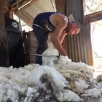 Chris beetson - @chris.beetson - Instagram