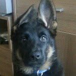 Chris behrend - @chrisbehrend83 - Instagram