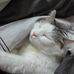 Christina Behring - Facebook