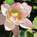 Chris Beringer - Facebook