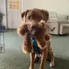 christinebeiteryi - @christine.beiter - TikTok