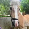 Leonie - @christophbeiter - TikTok