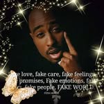 Chris Bek - @chrisbek1212 - Instagram