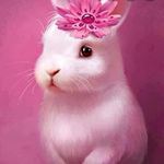 Christian belden - @yaboichris1616 - Instagram