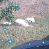 Chris Belfiore - @chrisbelfiore1872 - TikTok