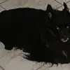 Christian Bellanti - @christian.bellant3 - TikTok