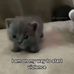 Chris Belle - Facebook
