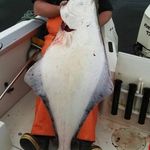 Chris Beller - @chris.beller.963 - Instagram