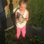 Chris Bellows - @emd_16645 - Instagram