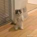 Earljems Binas - Facebook