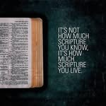 John Chris Beloy - @johnchrisbeloy - Instagram