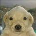 Chris Bencomo - Facebook
