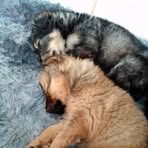 Chris Beneke - Facebook