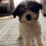 Chris benitez - @chris_benitez15 - Instagram