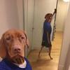 Chris Benito - @chris__benito - TikTok