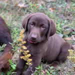 Chris Benner - @chrisbenner71 - Instagram
