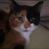 Chris Benner - @chris.benner2 - TikTok