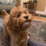 Chris Bennetts - @cabennetts1 - Instagram