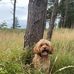 Chris Bennetts - Facebook