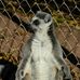 Chris Bennis - Facebook