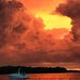 Chris Bennis - Facebook