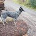 Chris Bensen - Facebook