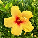 Chris Bentch - @chris_bentch - Instagram