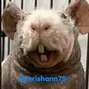 chris hann - @chrisbentonhannfanklub - TikTok