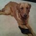 Chris Benter - Facebook