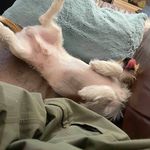 Chris Bentz - @chris.bentz.98 - Instagram