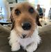 Chris Bentz - Facebook
