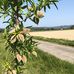 Christophe Bentzinger - Facebook