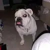 Christian - @christian.benvenutoo - TikTok