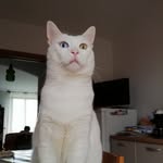 Christian Benvenuto - @christian.benvenuto.980 - Instagram