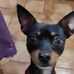 Christophe Benvenuto - Facebook