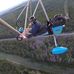 Chris Berard - Facebook