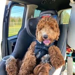 Chris Berberich - @chrisberberich - Instagram