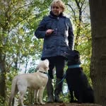 Chris Bergen - @chris.bergen.50 - Instagram
