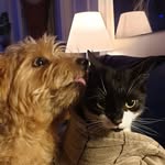 Chris berglund - @berglund_chris - Instagram