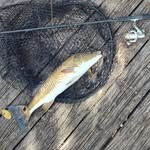 Chris Berglund - @chris.berglund.75 - Instagram