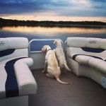 Chris Bergman - @cberg614 - Instagram
