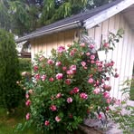 Chris Bergner - Facebook