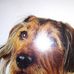 Chris Bergner - Facebook
