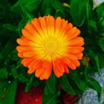 Chris Bergstrom - @chrisbergstrom825 - Instagram