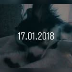 Chris beringer - @beringer_chris - Instagram