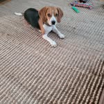 chris berka - @berka.chris - Instagram