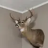 chrisberkevich - @chrisberkevich - TikTok