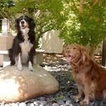 Chris Berman - @chrisbee.00 - Instagram